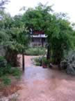 ARBOR RAIN.jpg (221kb)
